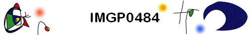 IMGP0484
