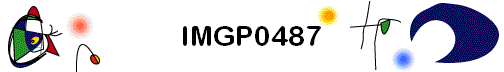 IMGP0487