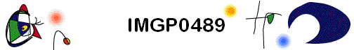 IMGP0489
