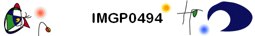 IMGP0494