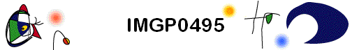 IMGP0495