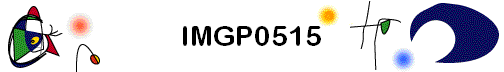 IMGP0515