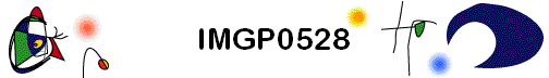IMGP0528