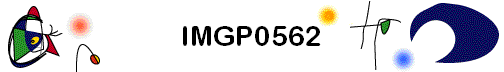 IMGP0562