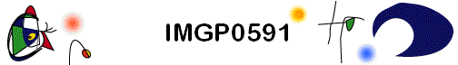 IMGP0591
