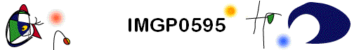 IMGP0595