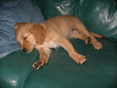 IMGP0491