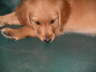 IMGP0487